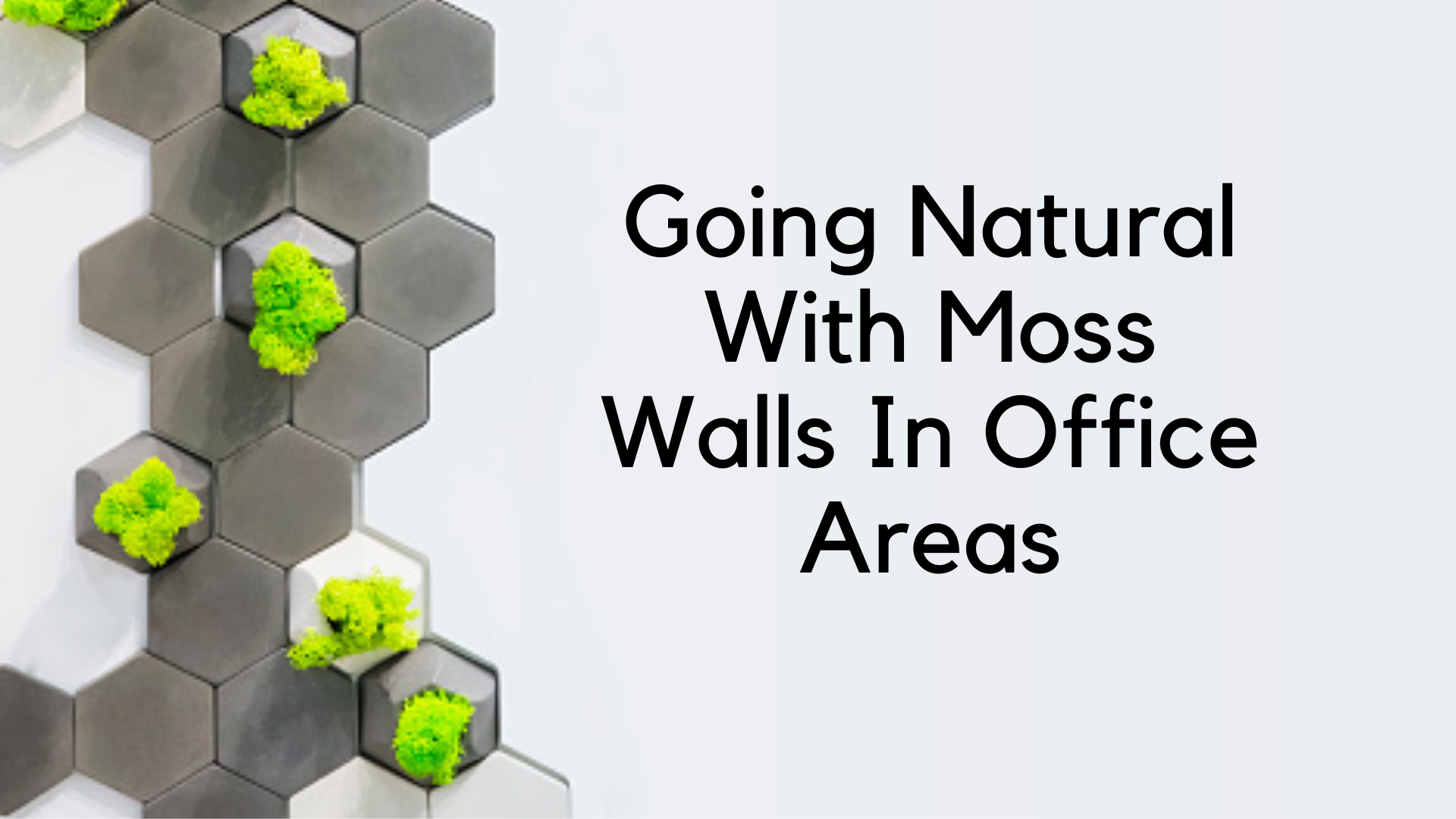 Going Natural With Moss Walls In Office Areas moss walls