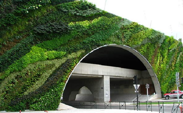 Application and Functions of Green Wall