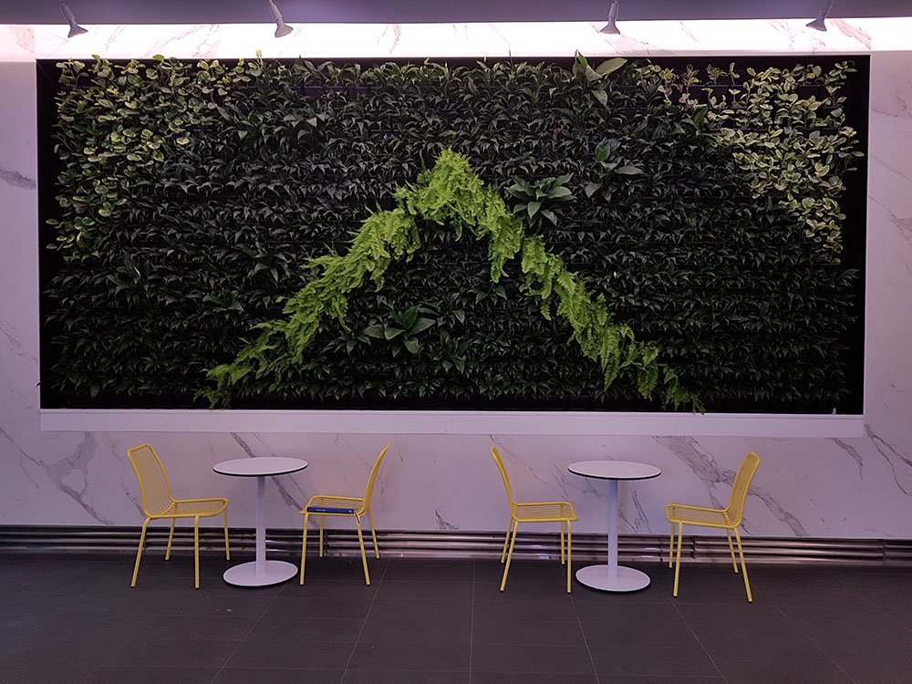 Cafe CBD Melbourne - Living Plant Walls