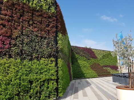 Artificial Garden Wall Supplier in Hobart