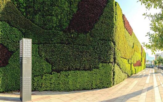green walls australia vertical garden wall