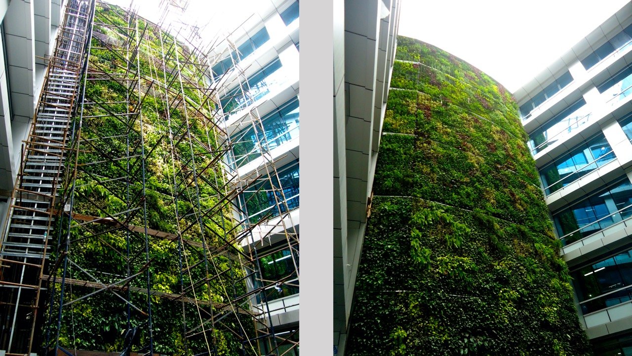 Green Walls- Fusing Technology with Nature