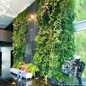 Green Walls, Vertical Gardens & Living Plant Systems green walls
