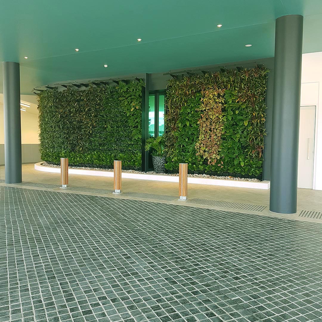 Living Plant Green Wall Gold Coast