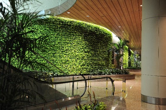 Green Walls Living Plant Systems