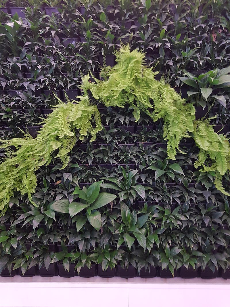 green wall project melbourne 2