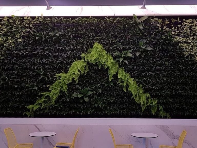 Vertical Garden & Living Green Wall Supplier In Australia