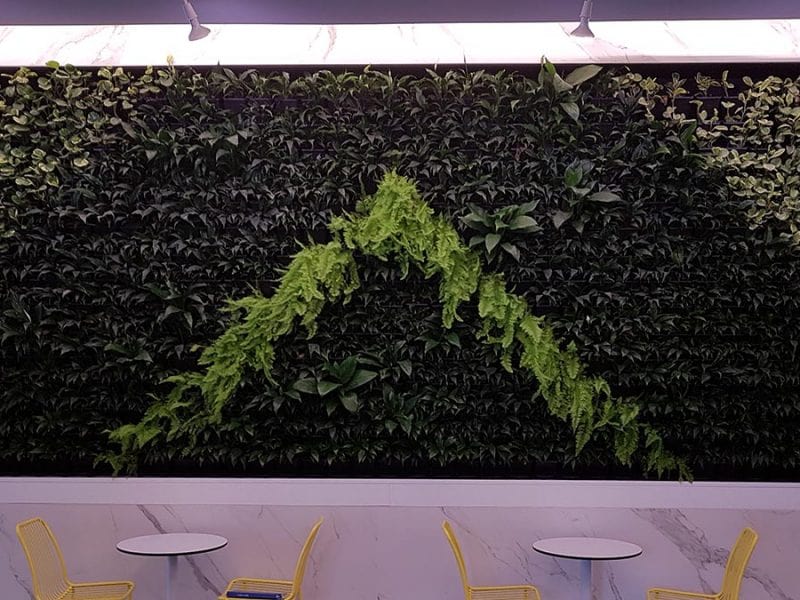 Portfolio Green Wall Melbourne