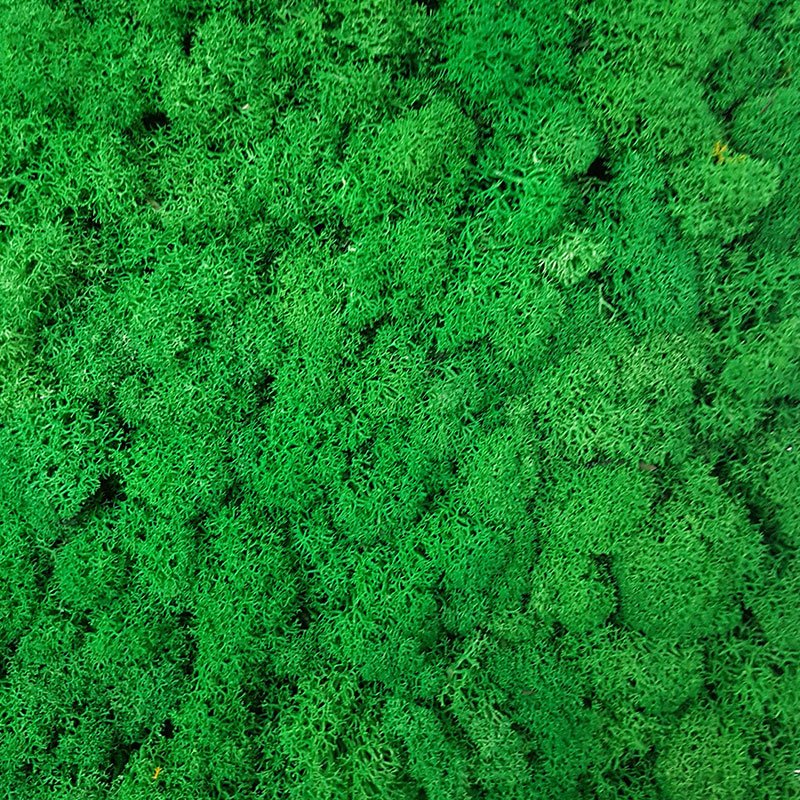 Moss Wall-Verde Granozzo