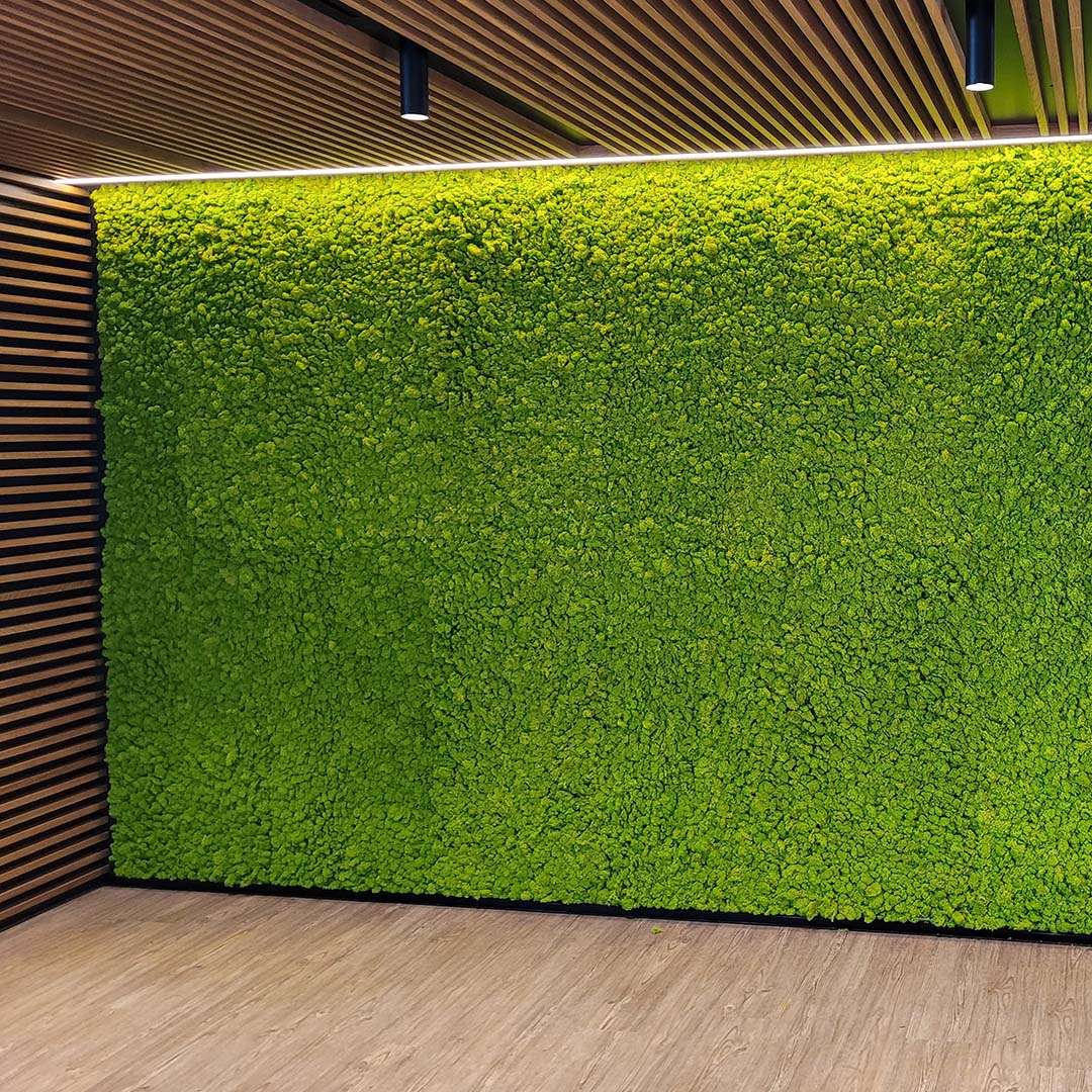 Moss Wall - Troy White Group