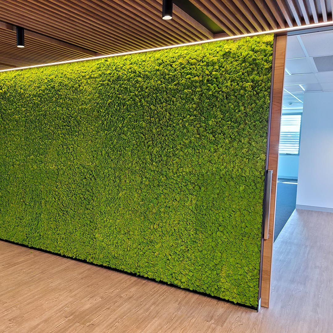 moss walls - Troy White Group