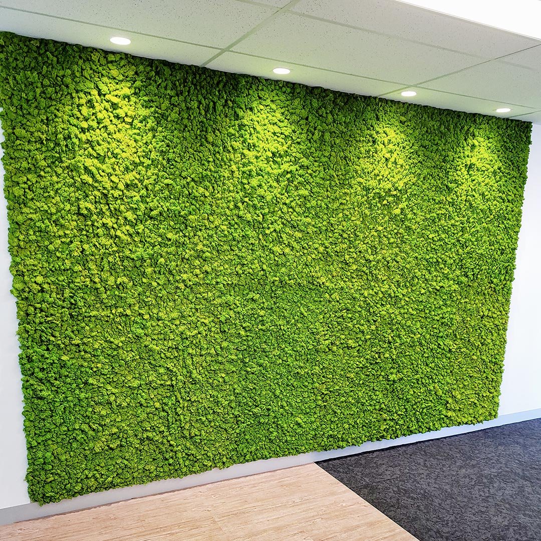 Troy White Group - Kedron Moss Wall