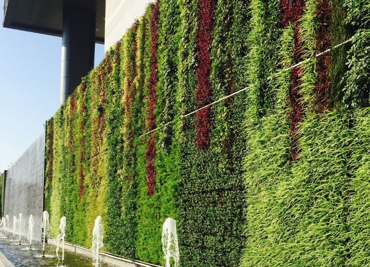 living green wall
