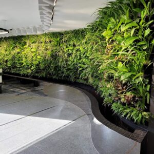 living green wall melbourne
