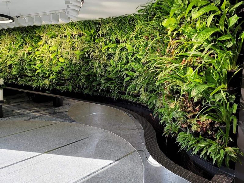 living green wall melbourne