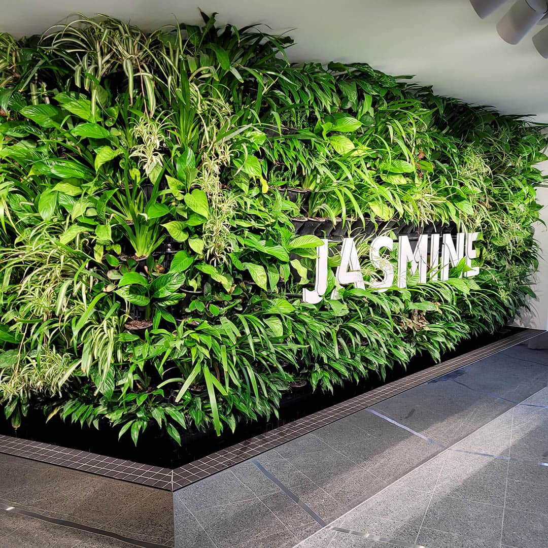 living green walls with logo