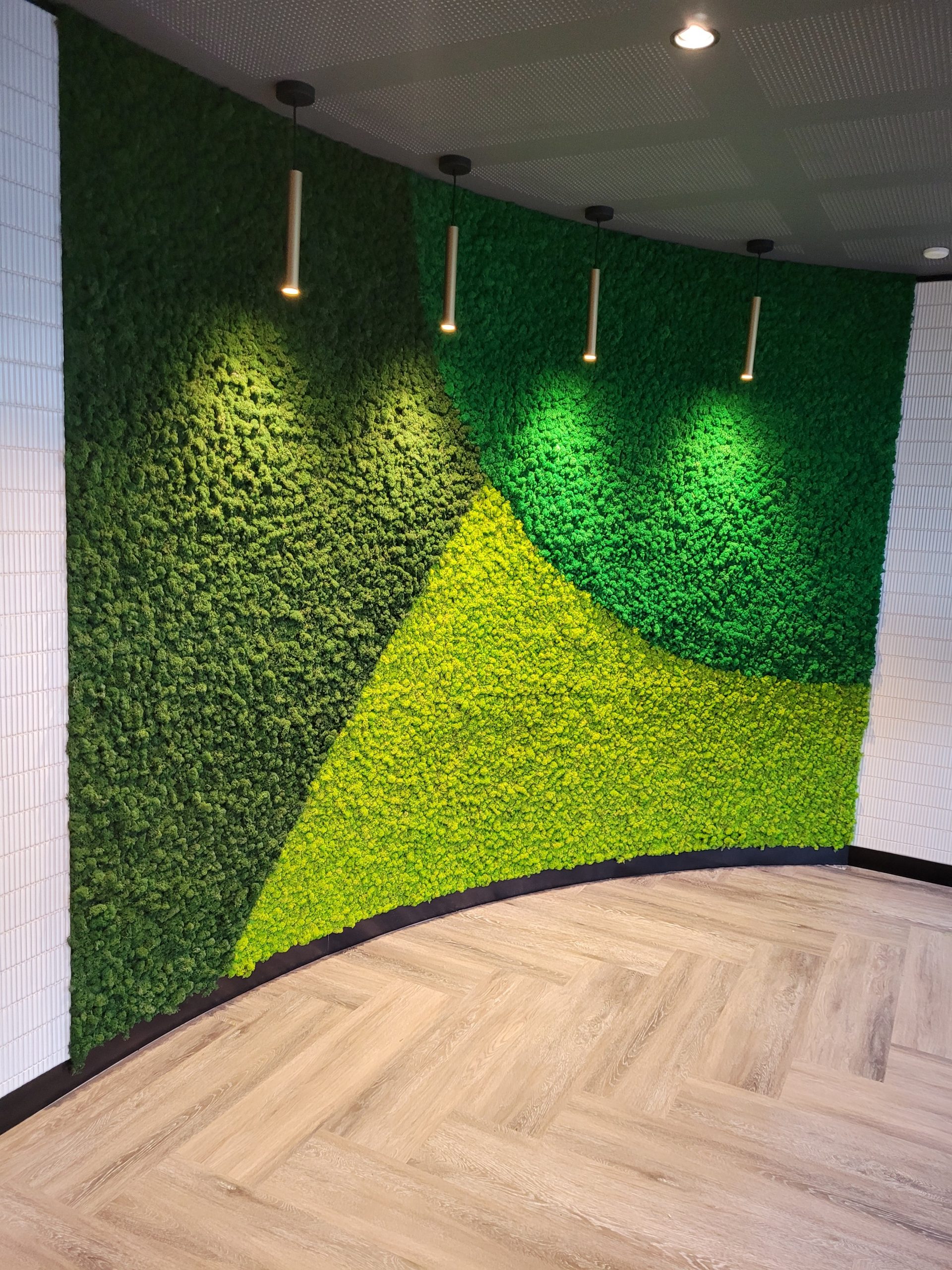 Moss Wall Supplier in Adelaide