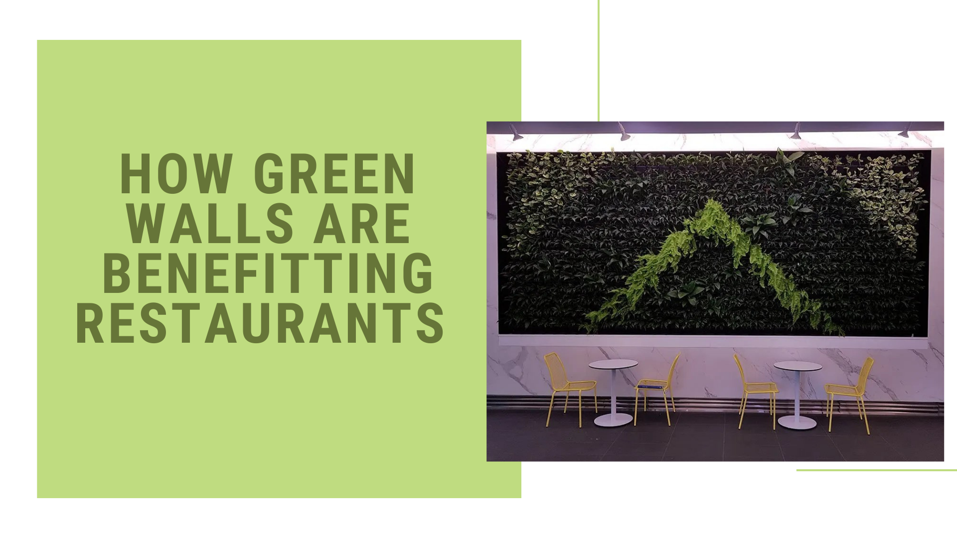 How Green Walls Are Benefitting Restaurants Green Walls