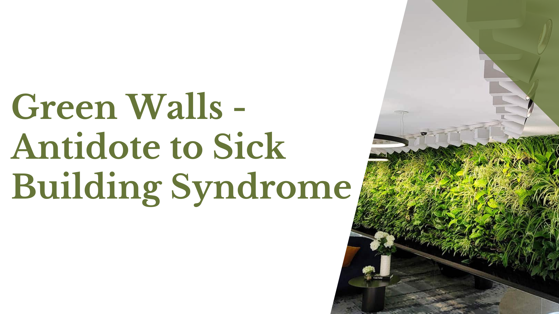 Green Walls - Antidote to Sick Building Syndrome green walls