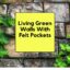 Living Green Walls With Felt Pockets