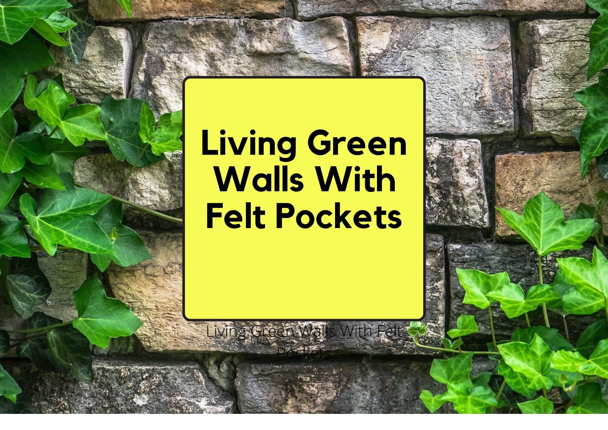 Living Green Walls With Felt Pockets