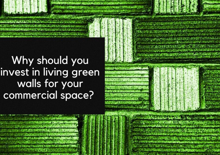 Why Should You Invest In Living Green Walls For Your Commercial Space? Vista Concepts