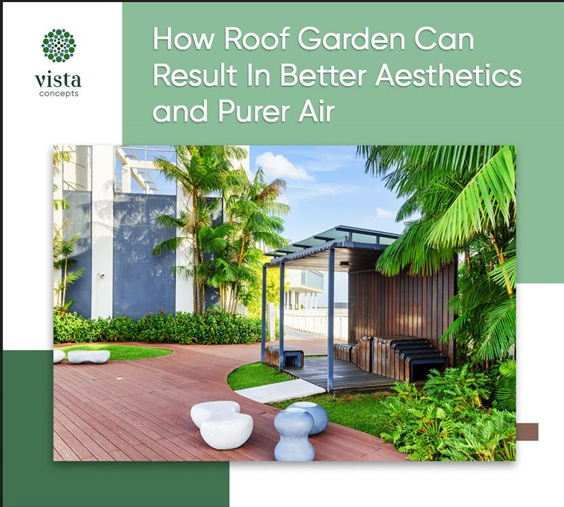 How roof gardens can result in better aesthetics and purer air?