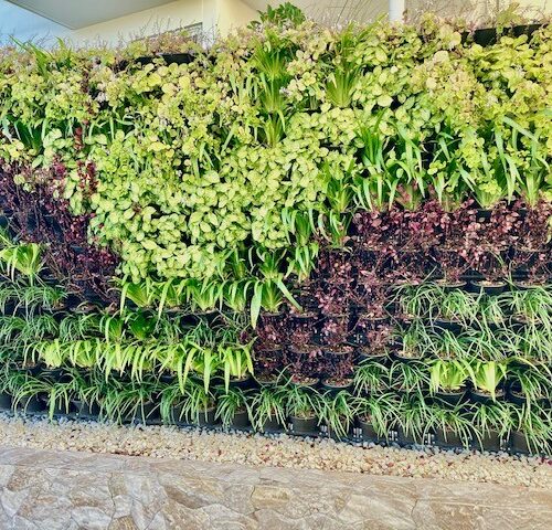 Green Wall System in Queensland