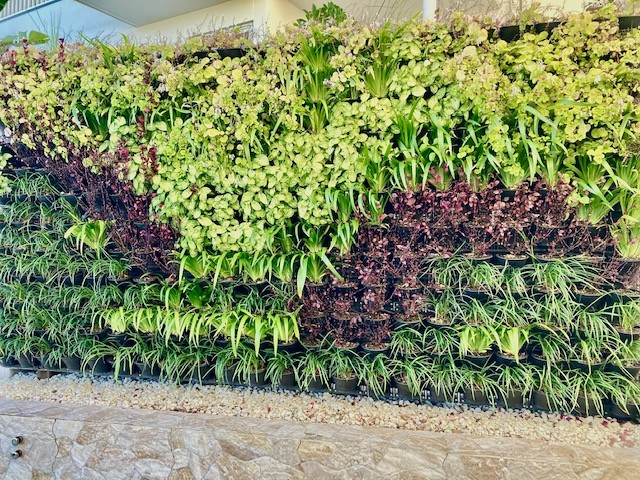 Green Wall System in Queensland