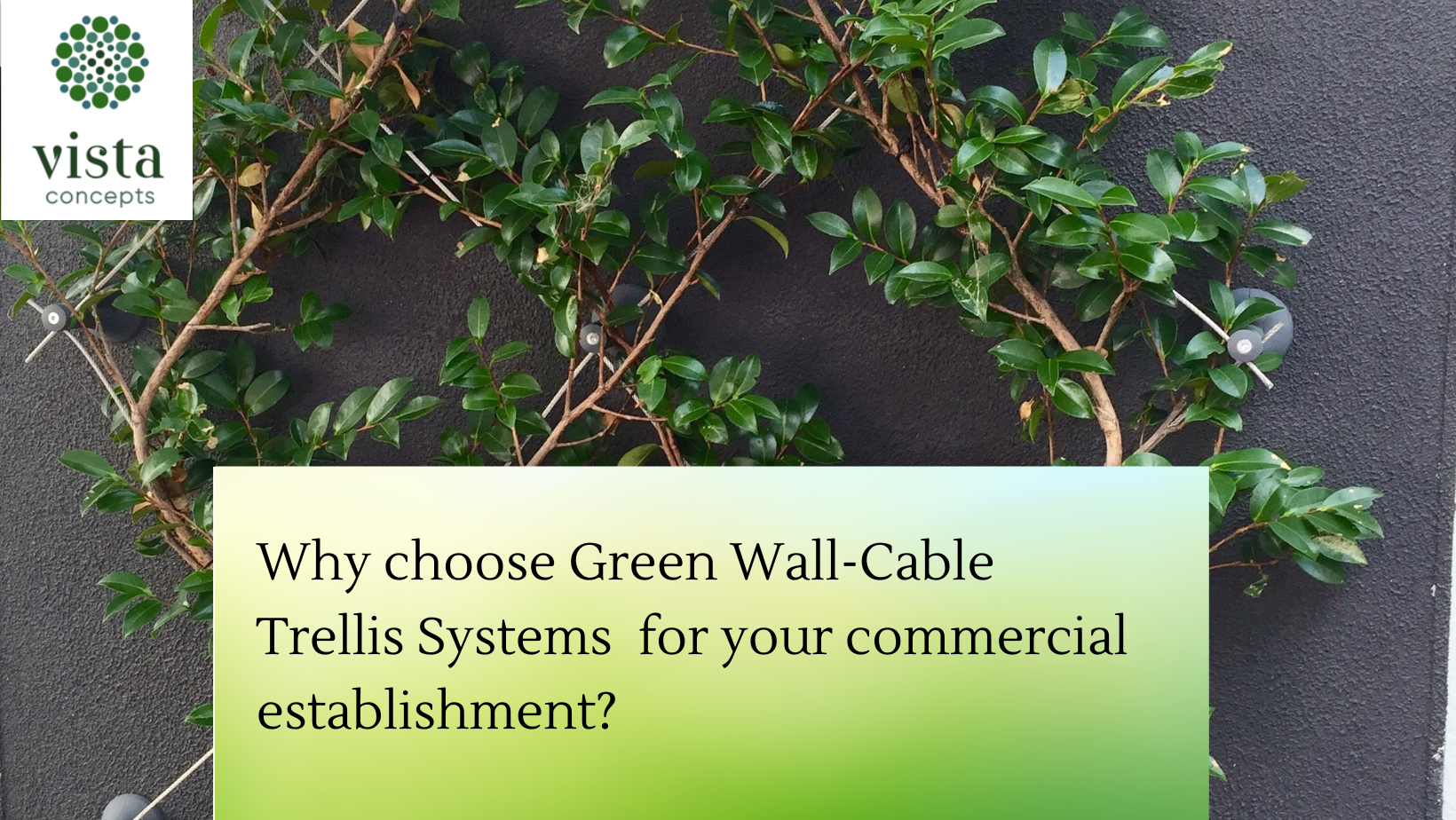 Why Choose Green Wall Garden Trellis Systems for Your Commercial Establishment? Green Wall Garden Trellis