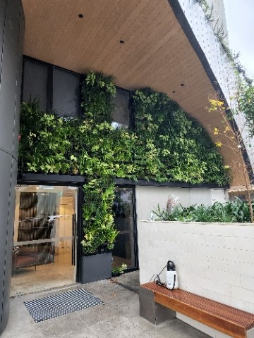 Living Green Wall in Melbourne